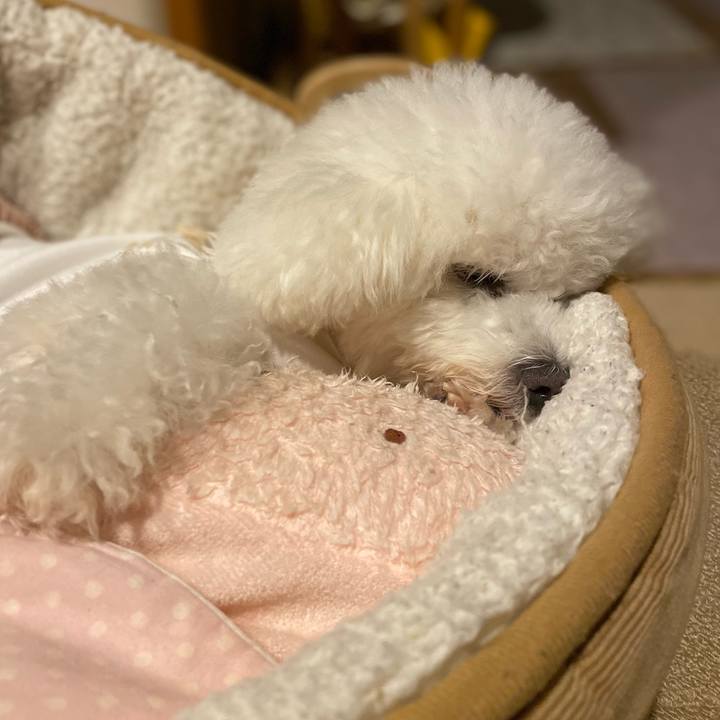 Cfe9b552 2e76 402e 9423 3ec4f5aa6bed 1709383140297