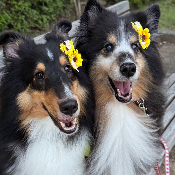 Cfe9daa7 2044 4a8f 9846 f4393c06cc4e 1752854213202