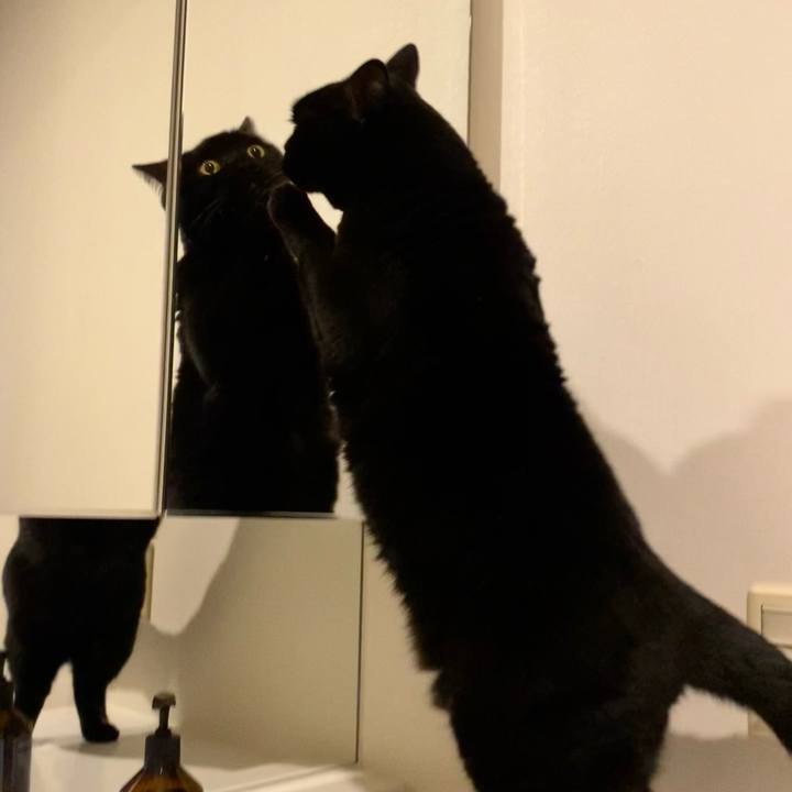 Cfe9fb99 5eb7 4987 9f55 258f6938898d 1701326882014