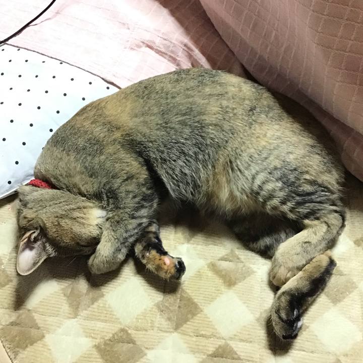 Cfea04d4 b952 4bbf b873 48bec67ae6e9 1580982753961