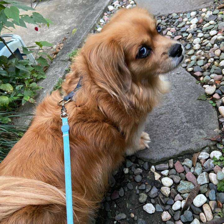 Cfea2860 7bdf 4a4c ad35 e670d57e236b 1604441450721