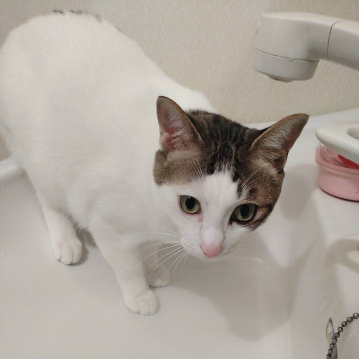 Cfea2f6e 16d0 412e b781 cb629c0319b5 1704362111956