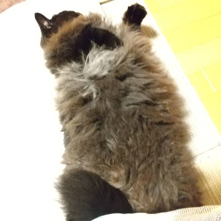 Cfea6d6c 13bd 488f 9051 2bd473fe5538 1601290926711