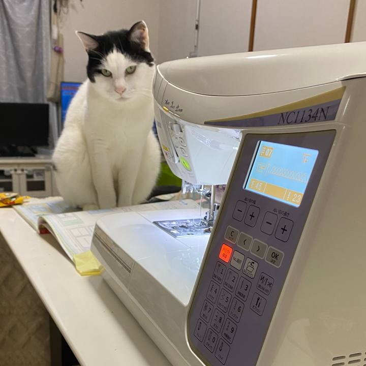 Cfea8a82 4d43 4707 b946 f965043e0db0 1707053829829