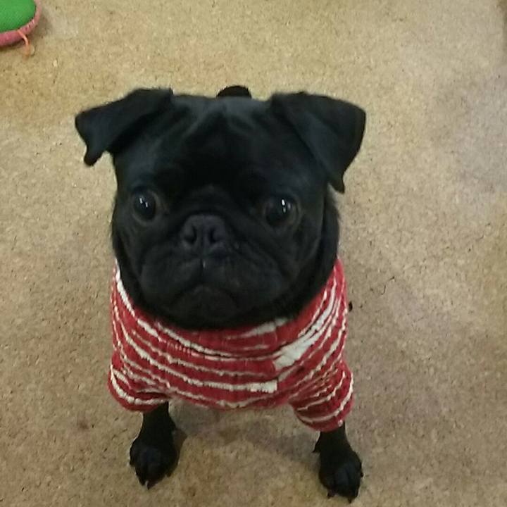 Cfead478 0042 4301 b6a8 8ca1a91fda67 1540791896443