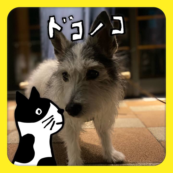 Cfeaea39 3c9b 4728 bf7b 4c563ec5a76c 1622856685759