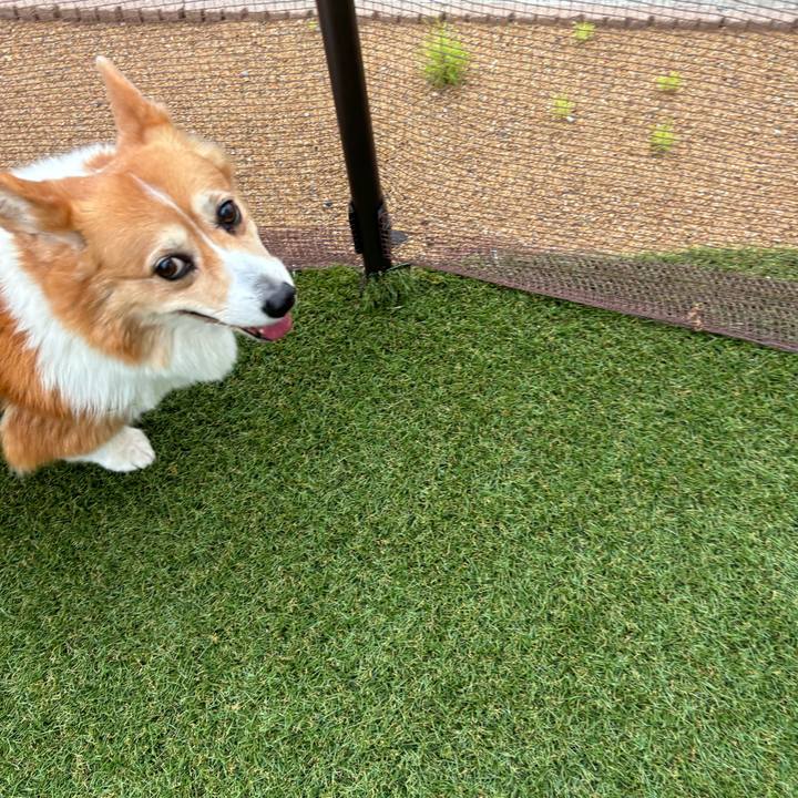 Cfeb9c0f a194 4d75 ab2b 91da5ad98ed4 1746954780261