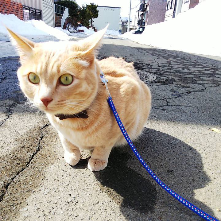 Cfeba47f 297b 45d0 bca1 833f2e1ef097 1615947064016