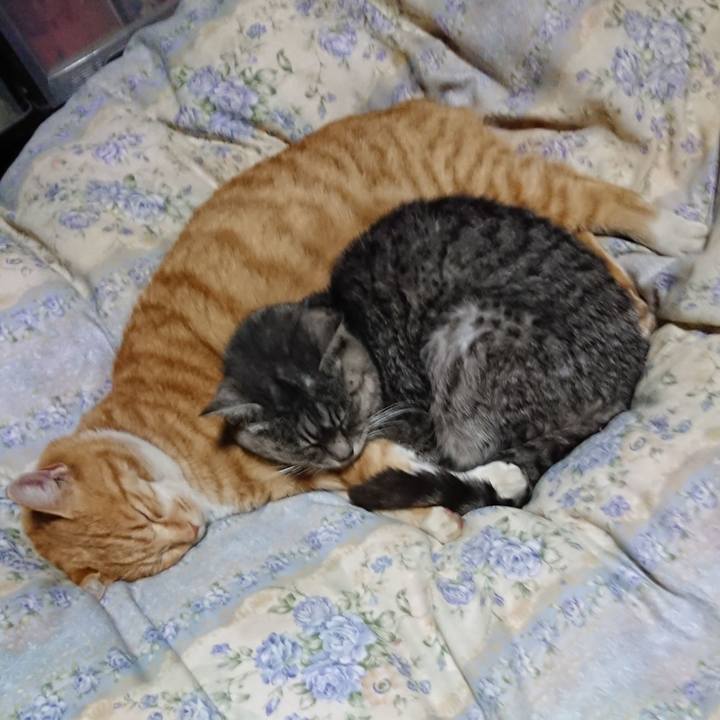 Cfebcafd fb35 47c3 8dc2 45ca55b36f15 1576756581519