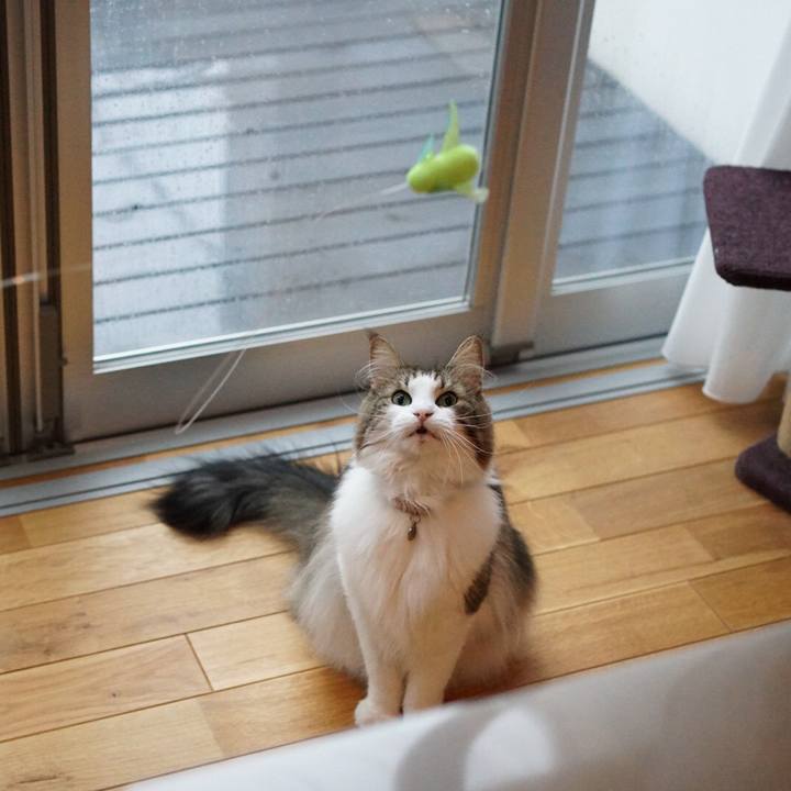 Cfebe59d 224c 4bb7 a1cd baaa478fa08e 1570854758730