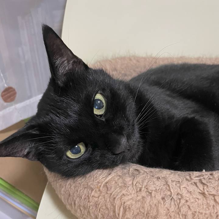 Cfec0470 6ede 4a26 9fc3 f433669c8c8c 1729690610369