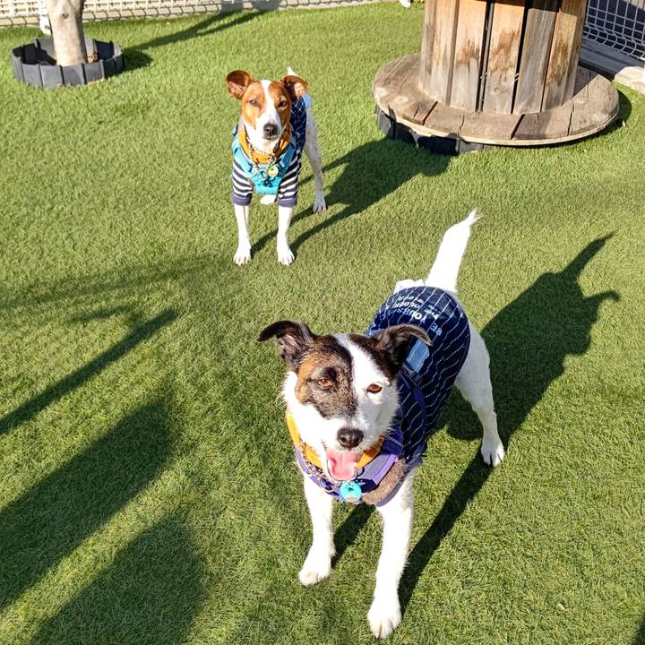 Cfec07f8 0f06 4238 bcc7 18bbff7c0cd2 1674974826312