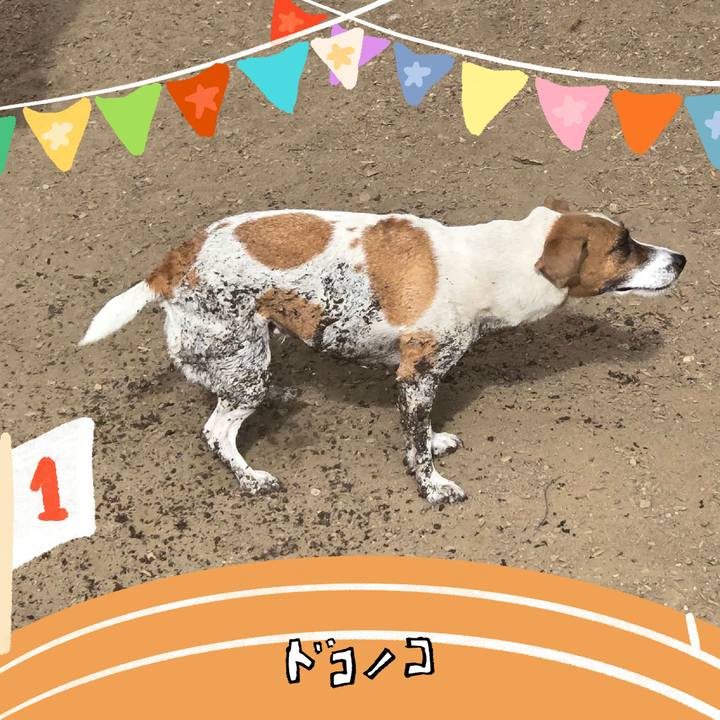 Cfec3c4f e3a1 43e0 9304 c81a3c25be78 1761105806096