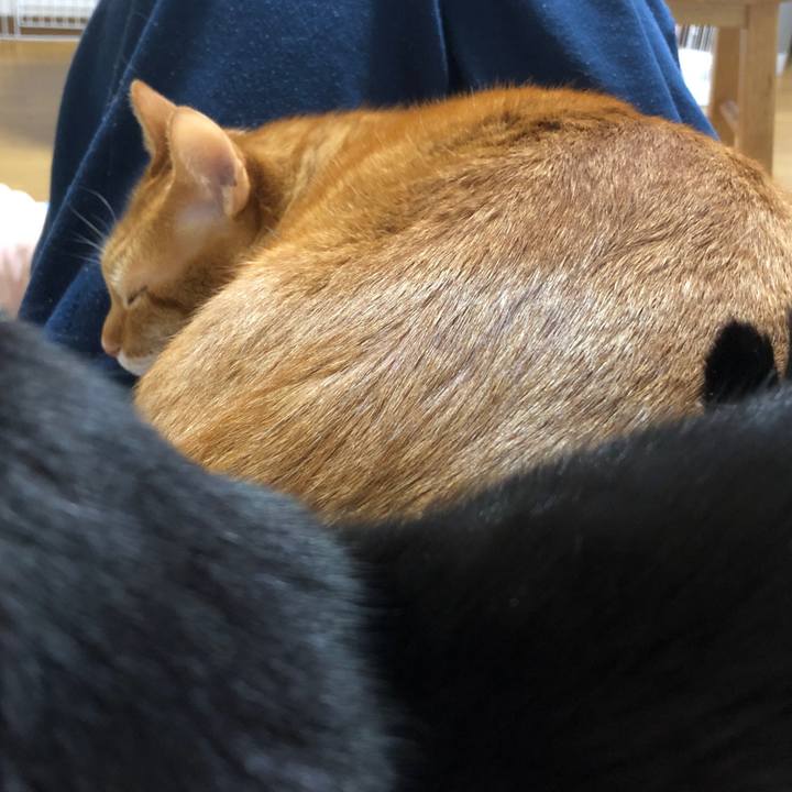 Cfec40e5 051d 49d9 9829 3c6e7c33b1e1 1734818538042