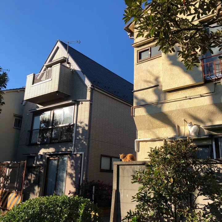 Cfeca176 1bc0 4115 9eac ff547c352be0 1544859585785