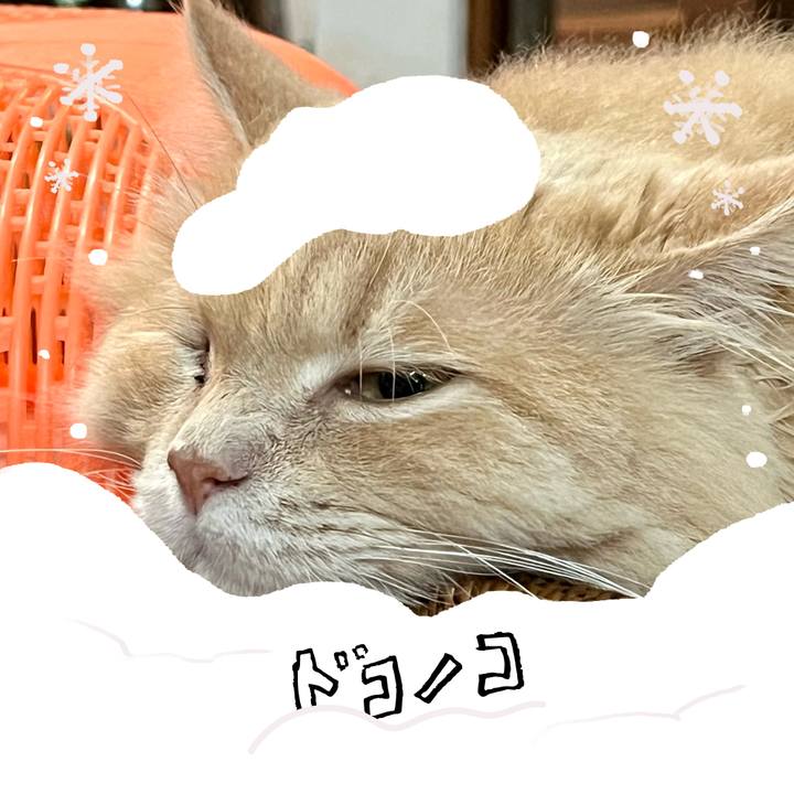 Cfecb04f cb6f 47d7 b569 cb6c3599139c 1771942922866