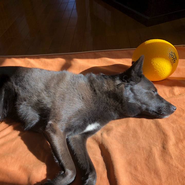 Cfecbb71 55d1 42a9 aa6d 5b49198bd7cf 1573950839969