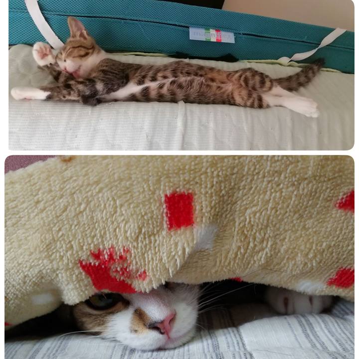 Cfecd1a1 8a8a 4c0f 80da a3643acbacde 1664667439273