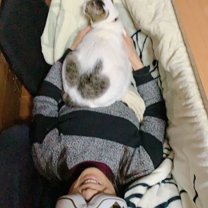 Cfecd8ec 565d 4db9 a385 51d9fe66cbae 1608976033867