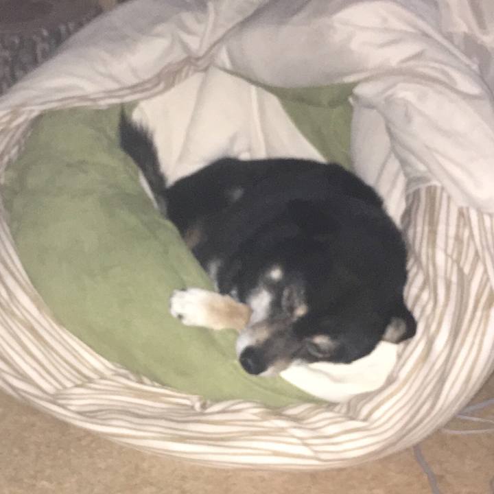 Cfecd92b 5e43 4390 b87e 02b0f237d439 1514602022301