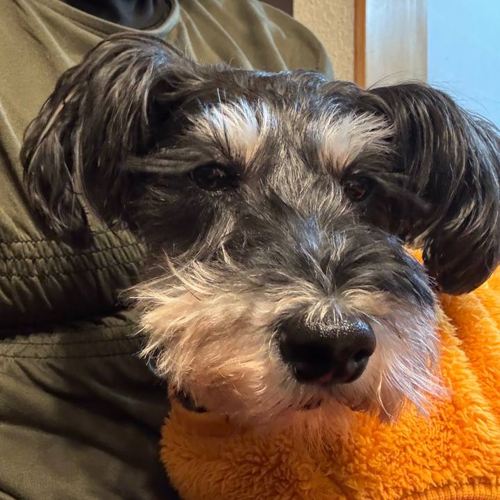 Cfece705 a0d6 4e49 8bcb 9473c2e66d06 1763452655079