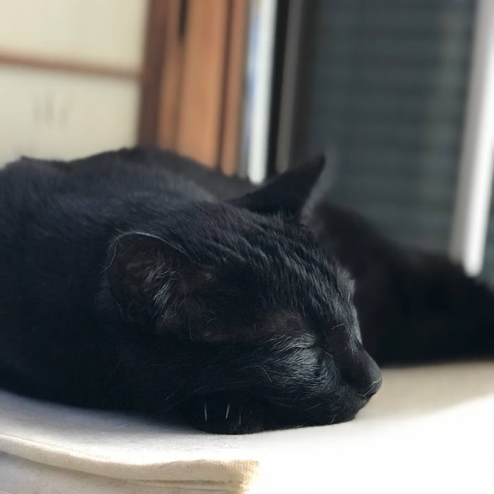 Cfed2512 4e96 48ad 9325 ddc047ebbfe0 1529630960673