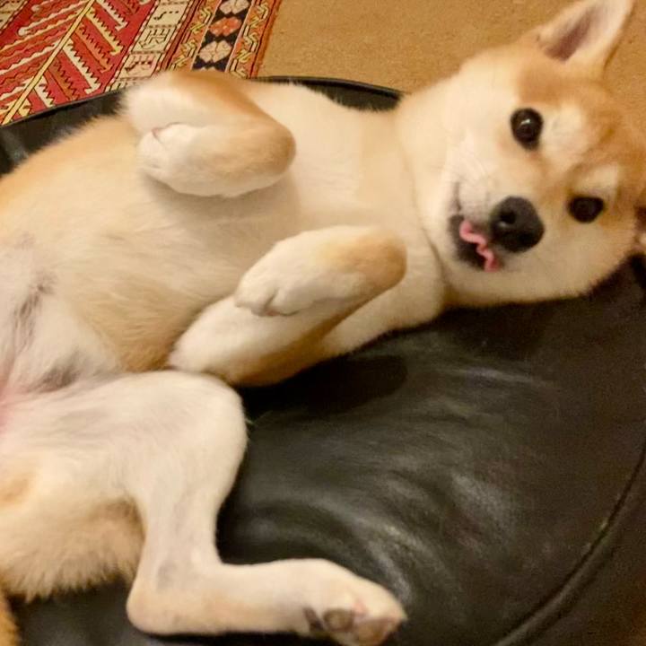 Cfed422b b67d 49ca 9f21 4ae98394ec07 1752664472746