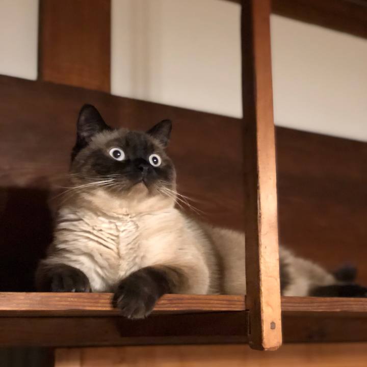 Cfed5811 2f5d 4821 9443 839938b90c6f 1626345907763