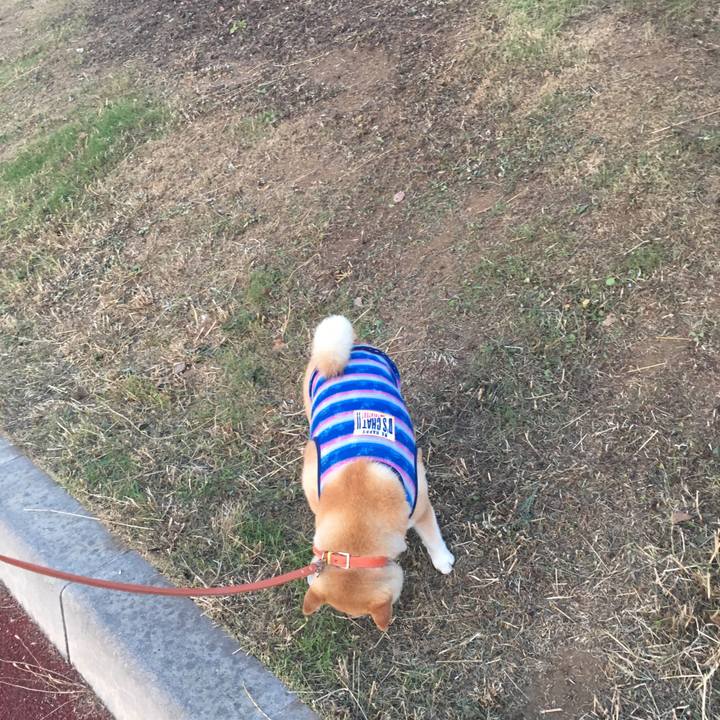 Cfed8153 0d67 455a 9f47 7fe4df0356e8 1561545481327