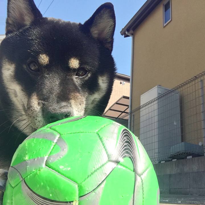 Cfed8d26 e560 455a b550 bfd9eabb6b71 1520848049821