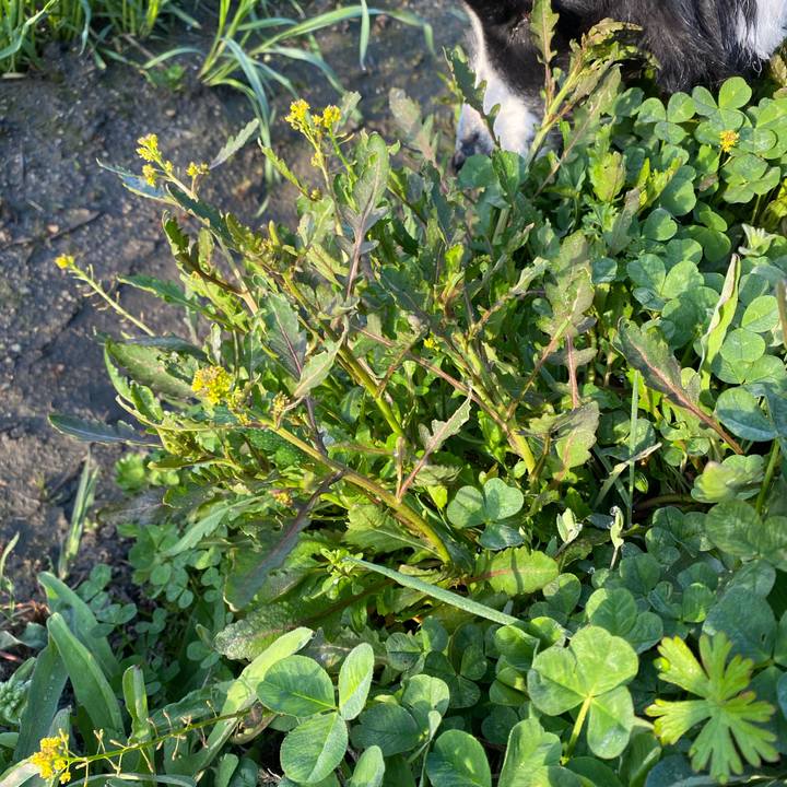 Cfedb377 e1a6 4da3 950d 6fa1a88b334a 1614987935045