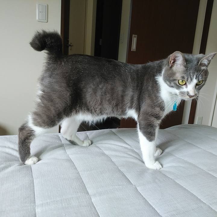 Cfedc3e6 1454 491b a135 63d2b84d83e6 1592871524344