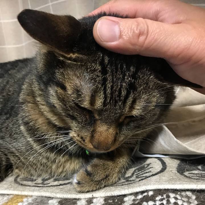 Cfedcea7 40cd 4e77 89d4 b319ad22a9cd 1597495319903