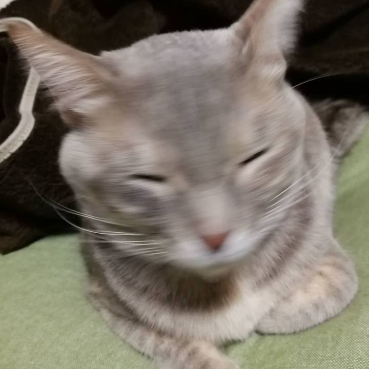 Cfedf74d 96ea 4435 afa9 e7e9d0a314a8 1518862899036