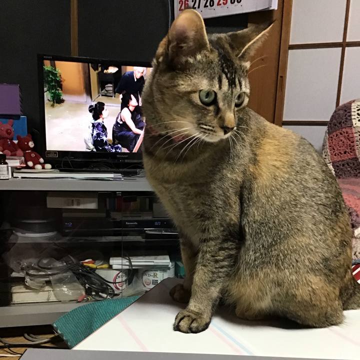 Cfedf879 a99a 4df2 b045 07a92a0ff759 1586599588743