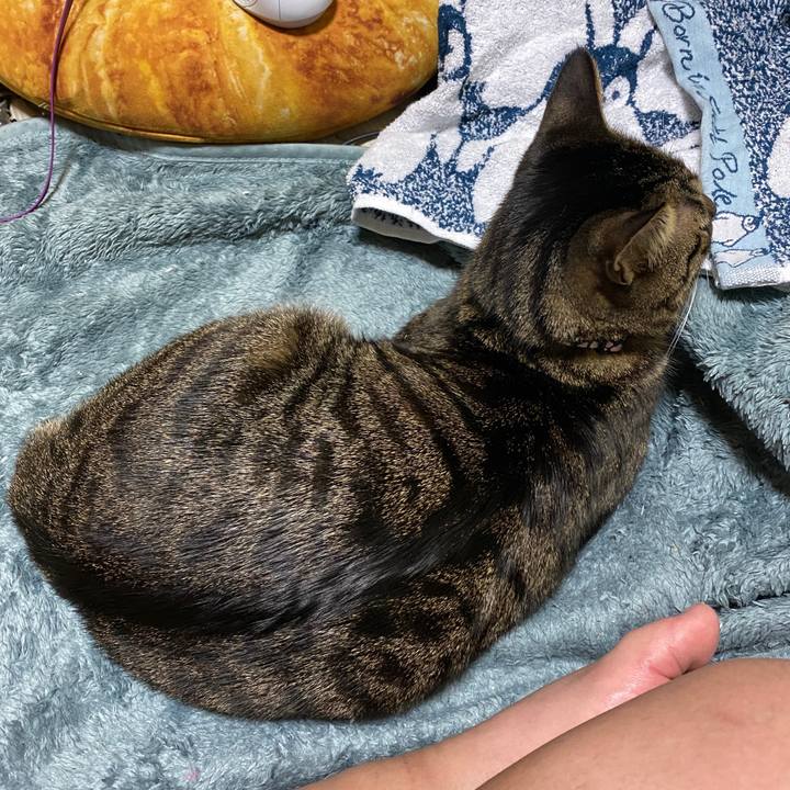 Cfee193b 82bd 43c9 8b42 0ea606a7c15c 1588727883566