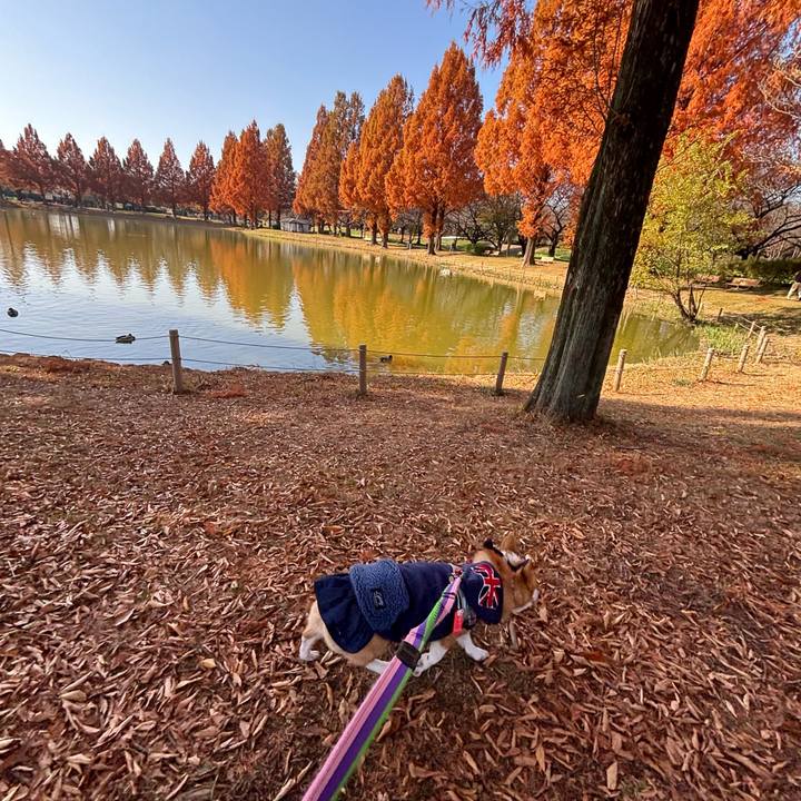 Cfee2e2d e89f 4b44 b15b 437d32d74fd8 1764518976165