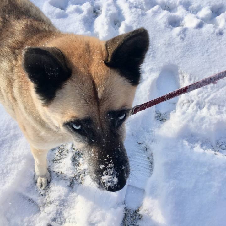 Cfee6bb6 9a84 4e57 b1e0 3057c68cd512 1516147955469