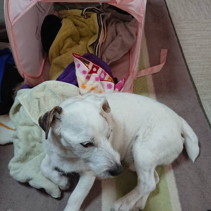 Cfee9681 6863 4ad7 94a7 79f968310167 1576713420587