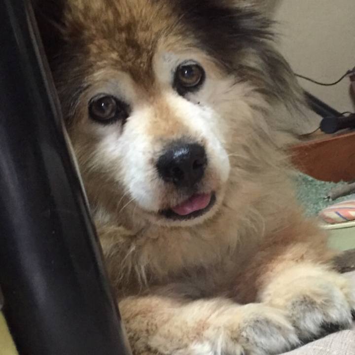 Cfeea8b8 16bd 42d7 bd28 e56909c9fd39 1548714756803