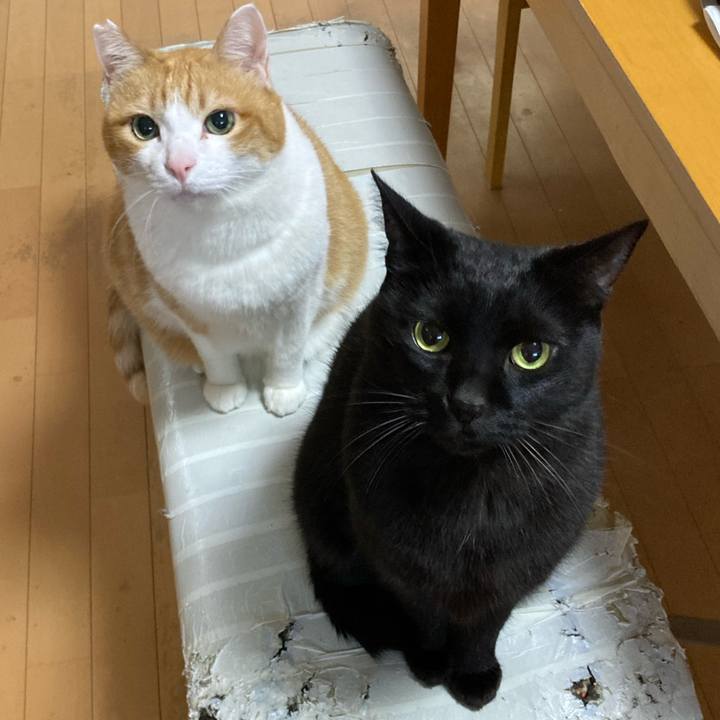 Cfef265c 7ef0 43de a303 f43f726ab8d9 1766738918250