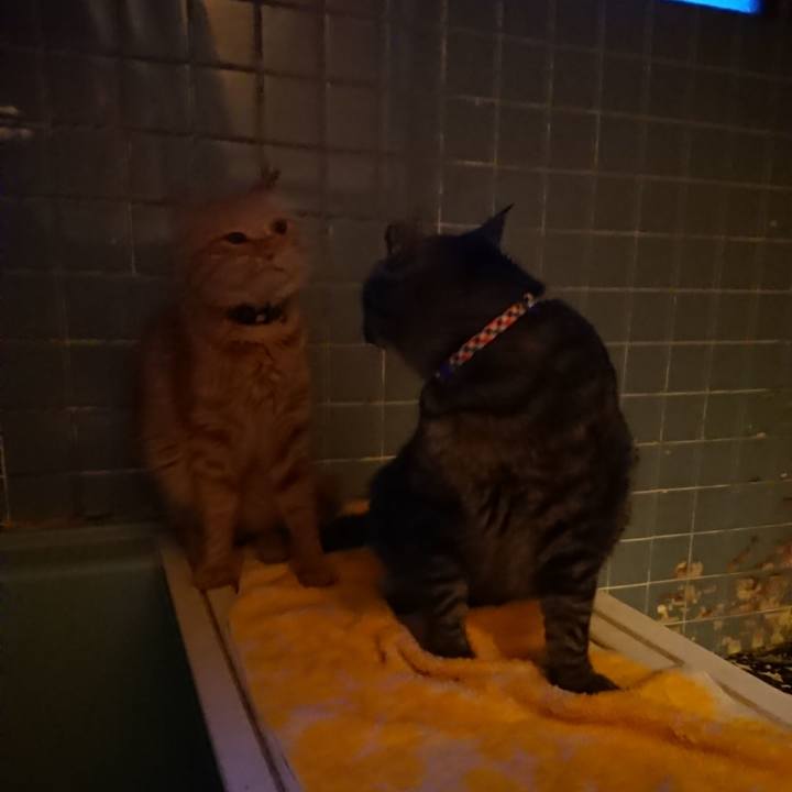 Cfef71c1 b102 4477 b0c0 42659637b96c 1655980693695