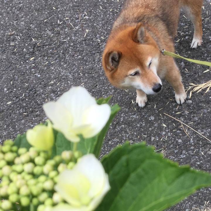 Cfef78ad e069 41a3 8bcb f7c0ecae2bfd 1559016891390