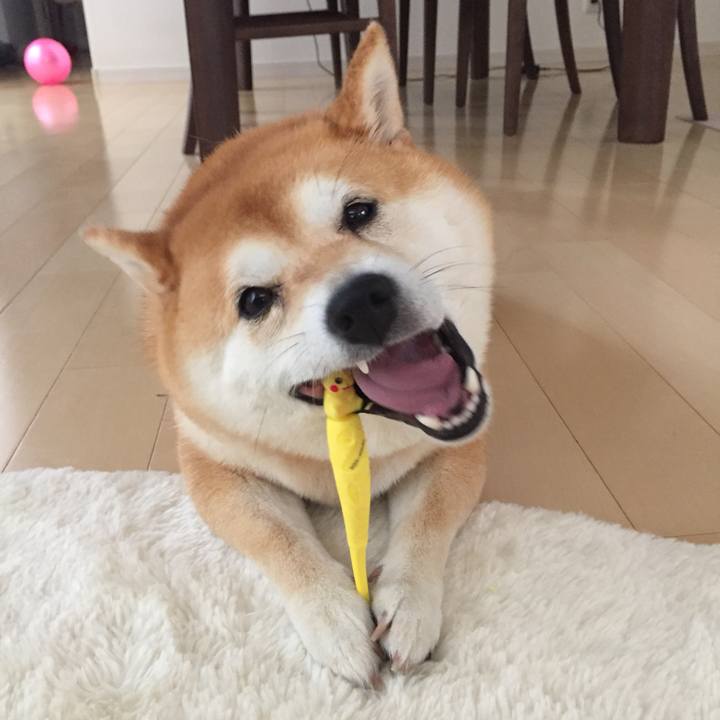 Cfefb015 80bd 4978 96ed c713e62fbe42 1560141021725