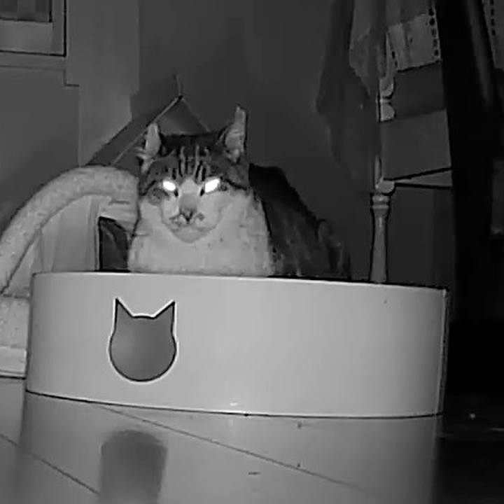 Cfefe64b c8e0 475b a8fa 31e4e636d243 1771560868343