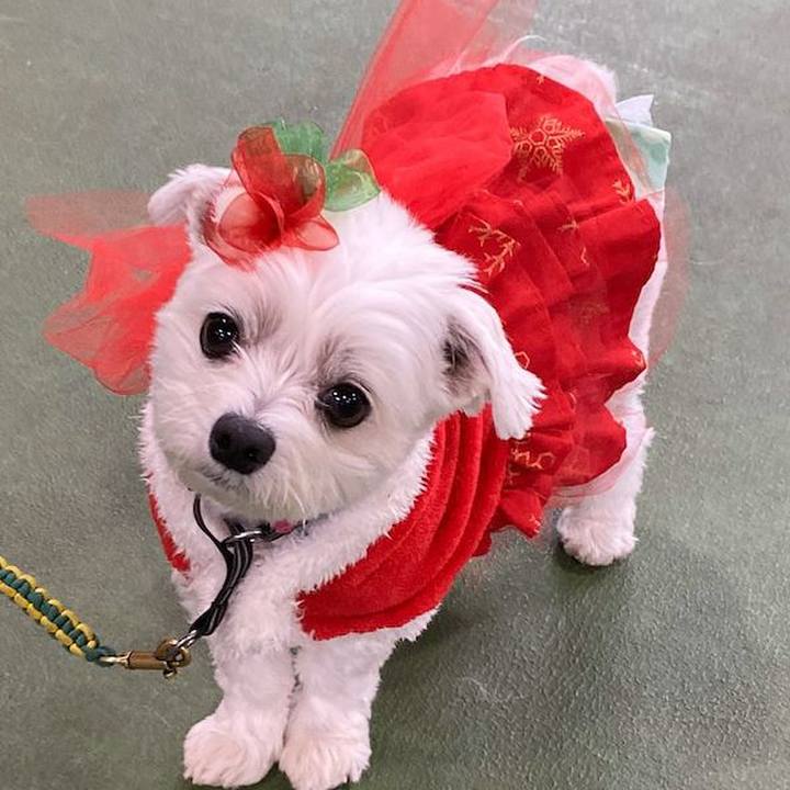 Cff01601 3702 44ed 8615 b44d92e34b87 1577451295991