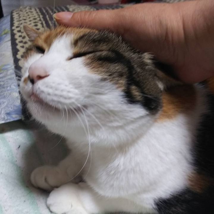 Cff01d4a 0e6b 41d7 8227 20e5a9543c74 1558388778897