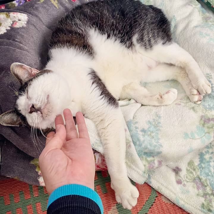 Cff03957 9e4b 4bd4 a1b2 038c58bd8faf 1588928758438