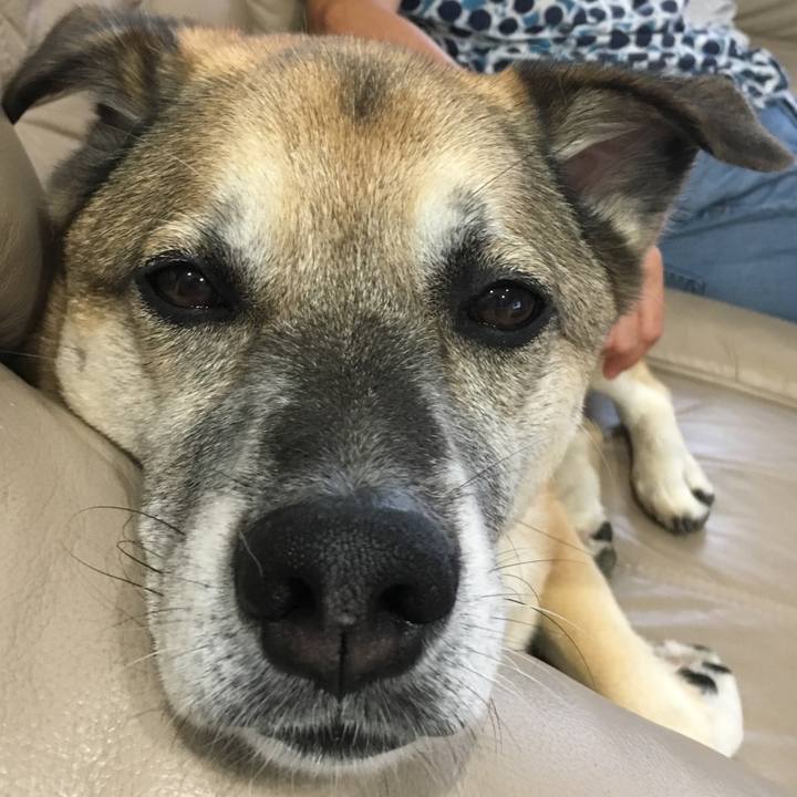 Cff06a62 d524 4bf0 8aef 58924c120825 1537498684931