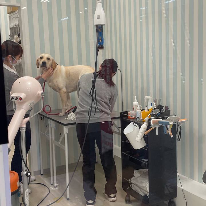 Cff07da8 e5d9 4117 a778 aa059f553964 1640669551006